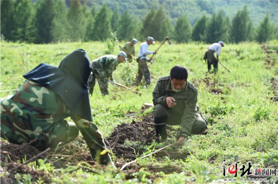 塞罕坝呆板林场：为“油炸出产线中国梦”贡献“中国绿”