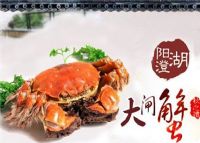 舌尖上的江苏省油炸出产线,江苏省小吃美食介绍